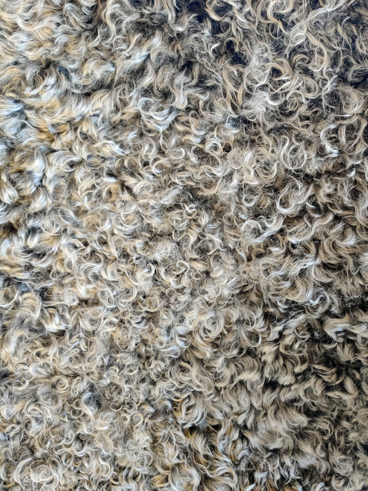 Meet the Fibre: Superwash | Smash or Pass? - The Spinnacle Yarns