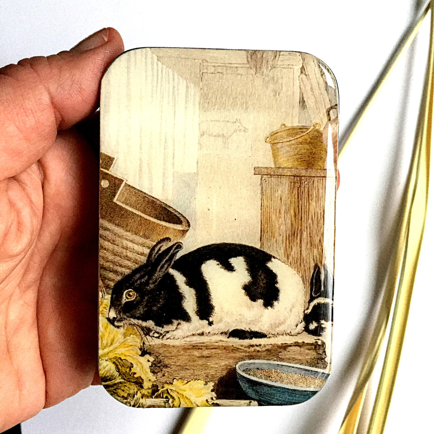 Rabbit Notions Tin | Large