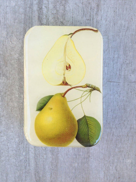 Botanical Pear | Notions Tin