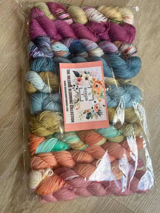 King Edward Lake Mini Set 3 Ply | 80/20 SW Merino/Nylon | Fingering