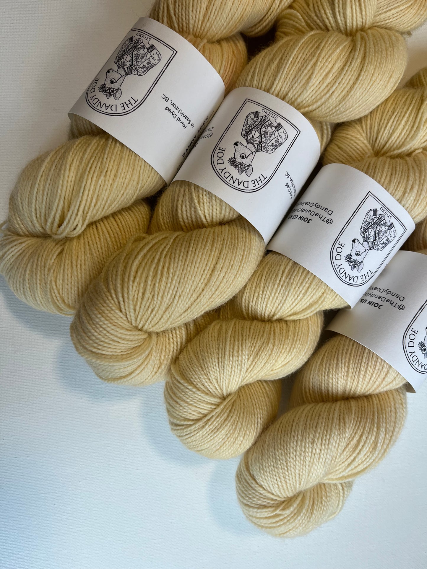 Dandy Sock | SW Merino/Nylon