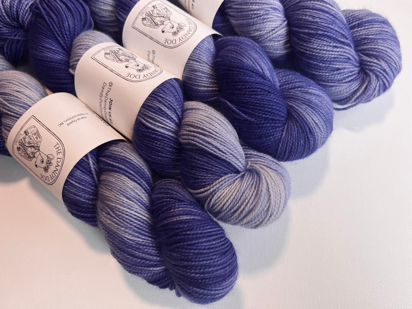 Dandy Sock | SW Merino/Nylon