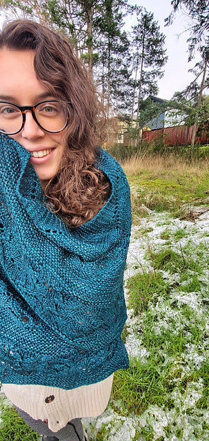 Kits - Wild Won Shawl Kit | Malabrigo Rios | Worsted | SW Merino