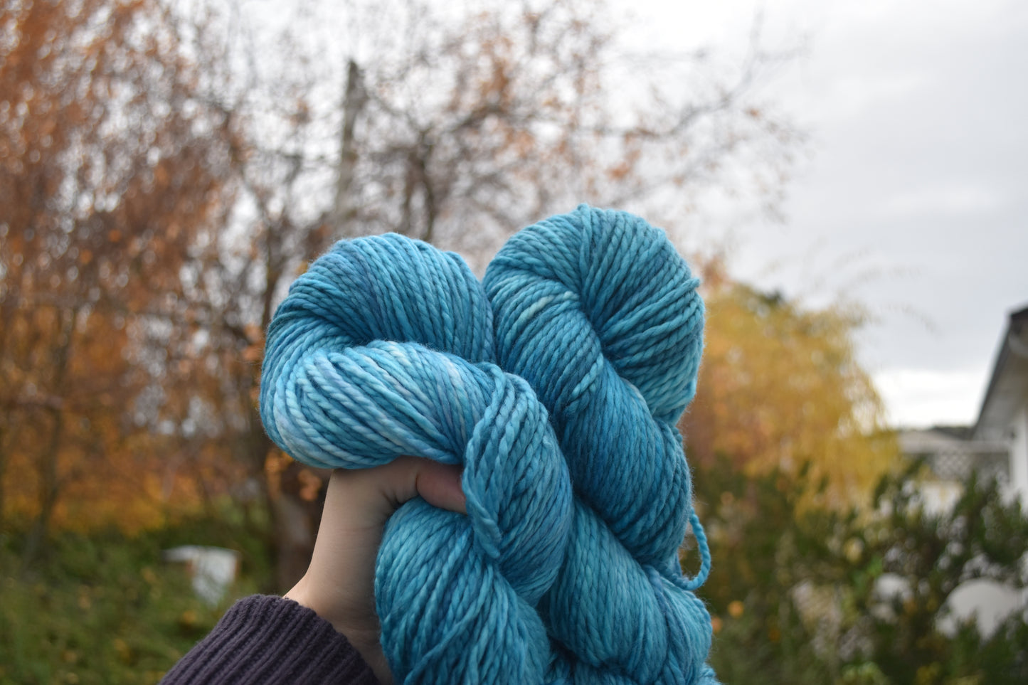 Thicc | Bulky | SW Merino
