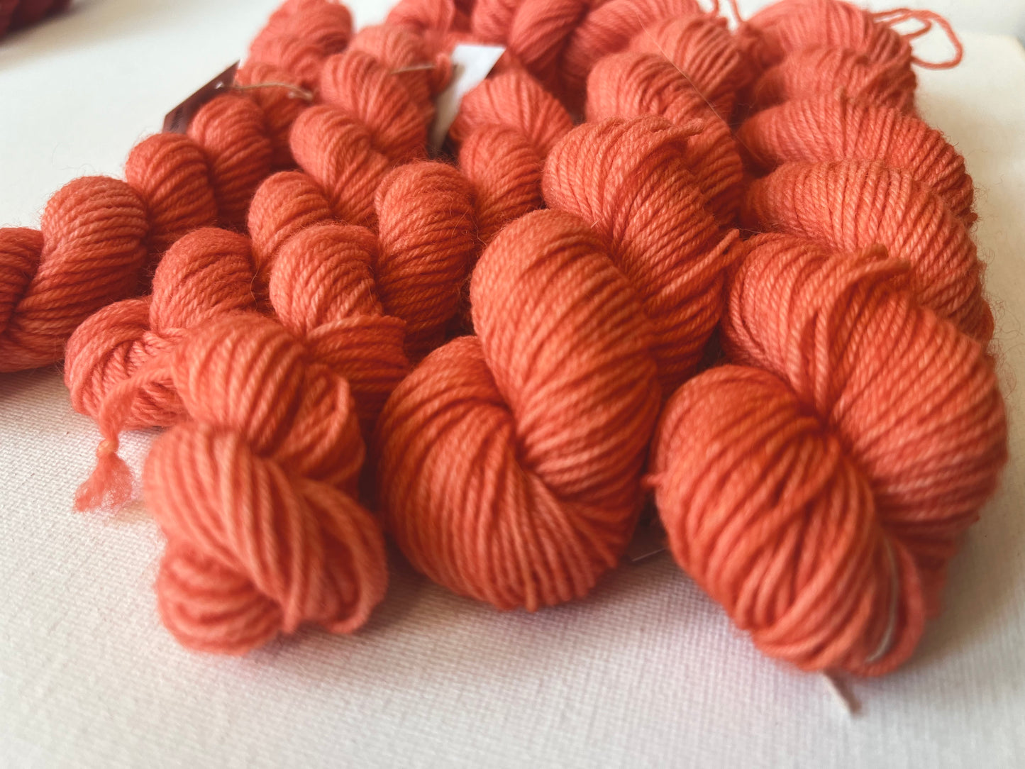 Minis | Fingering | SW BFL/Nylon