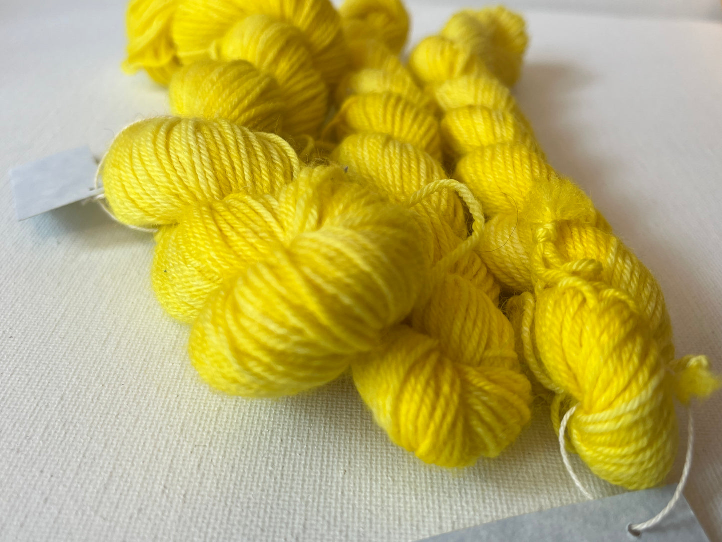 Minis | Fingering | SW BFL/Nylon