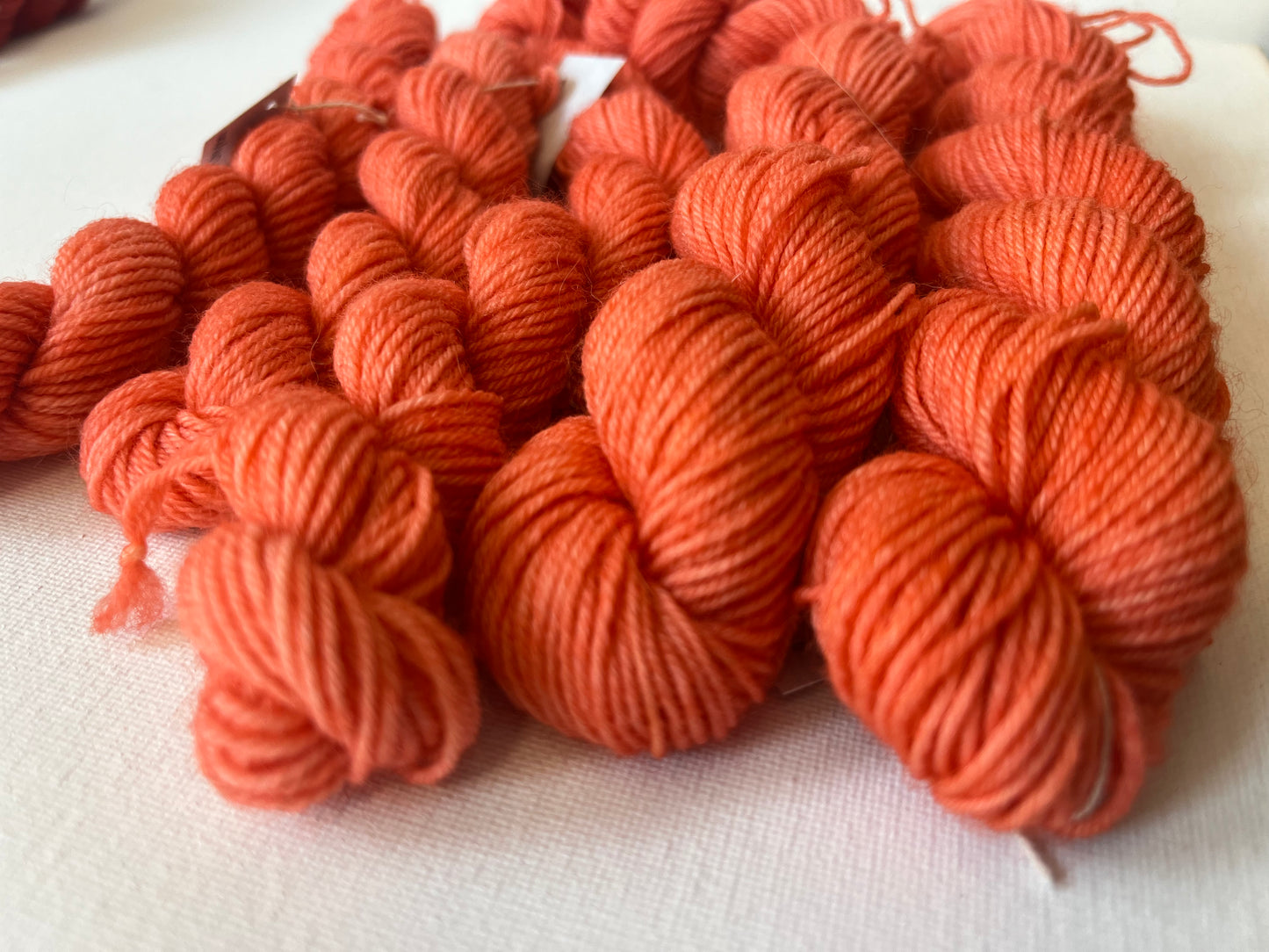 Minis | Fingering | SW BFL/Nylon