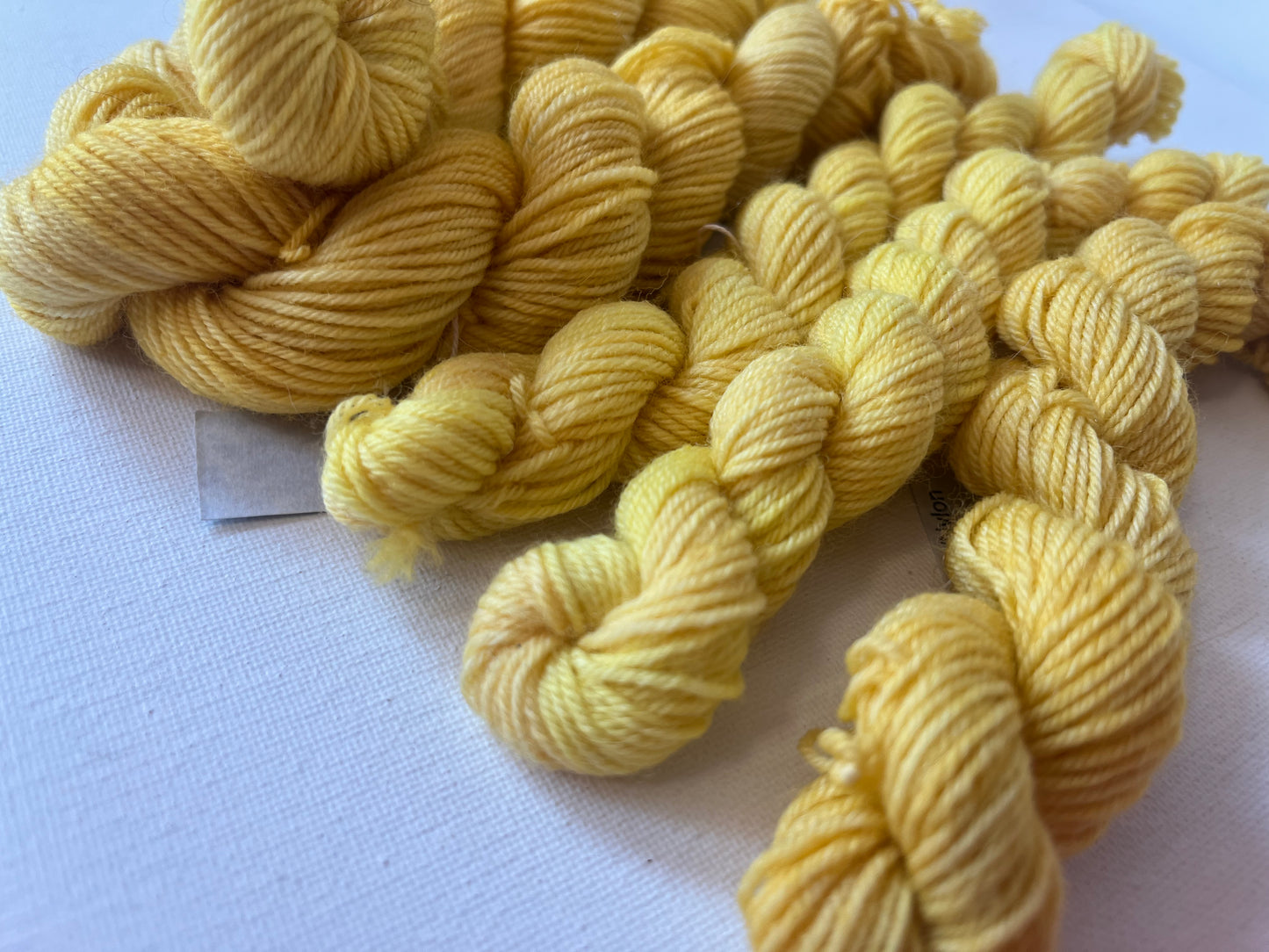 Minis | Fingering | SW BFL/Nylon