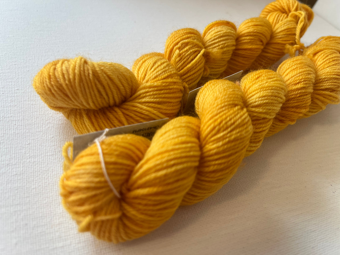 Minis | Fingering | SW BFL/Nylon