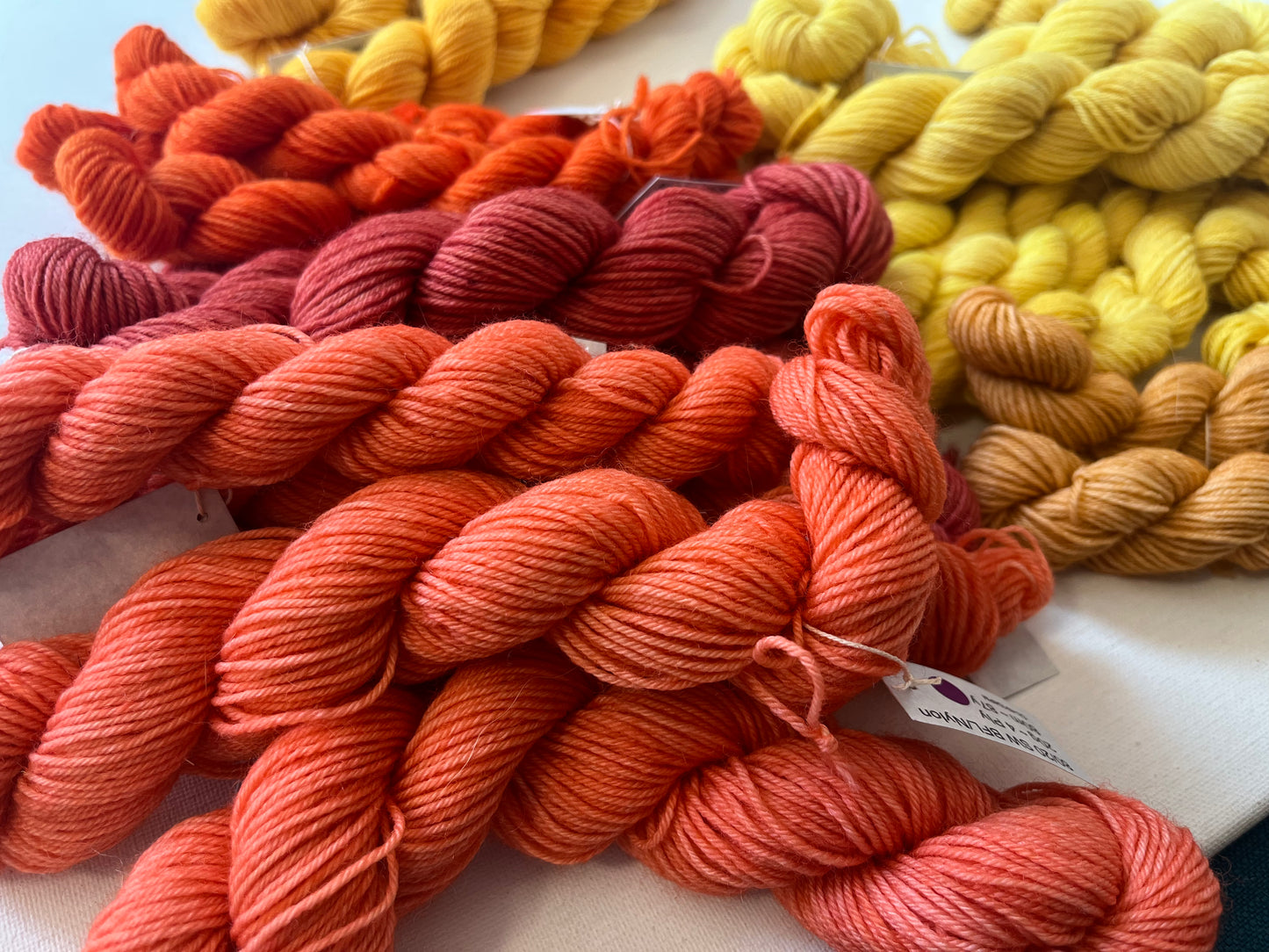 Minis | Fingering | SW BFL/Nylon