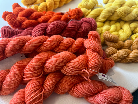 Minis | Fingering | SW BFL/Nylon