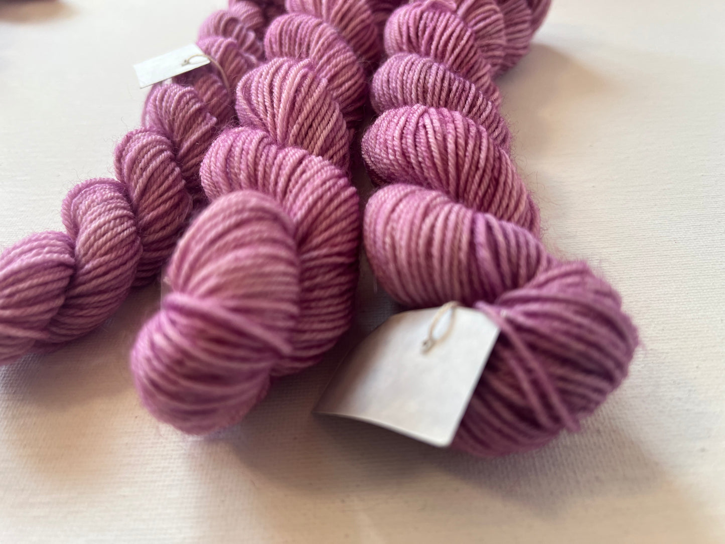 Minis | Fingering | SW BFL/Nylon
