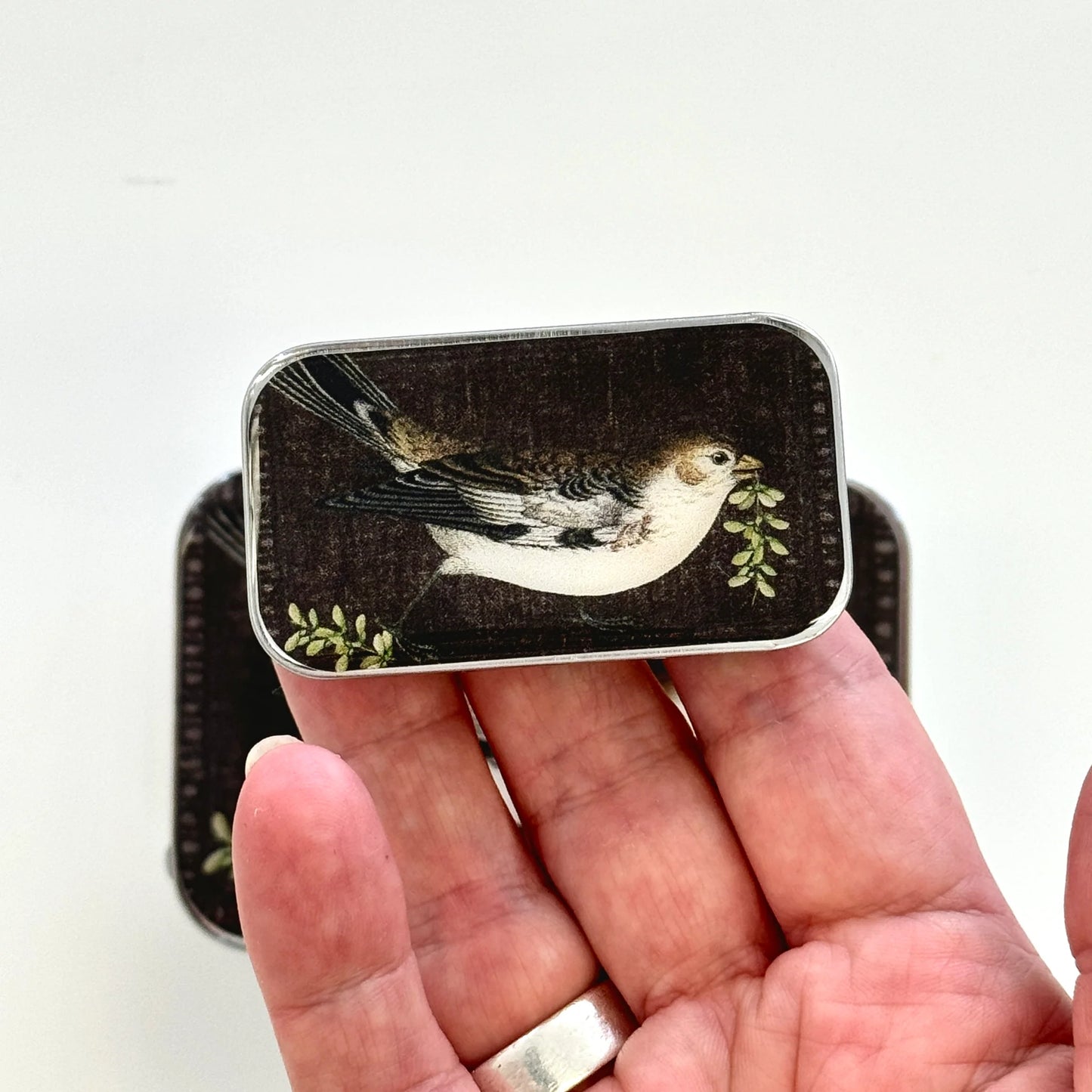 Birdsong Tin | Notions