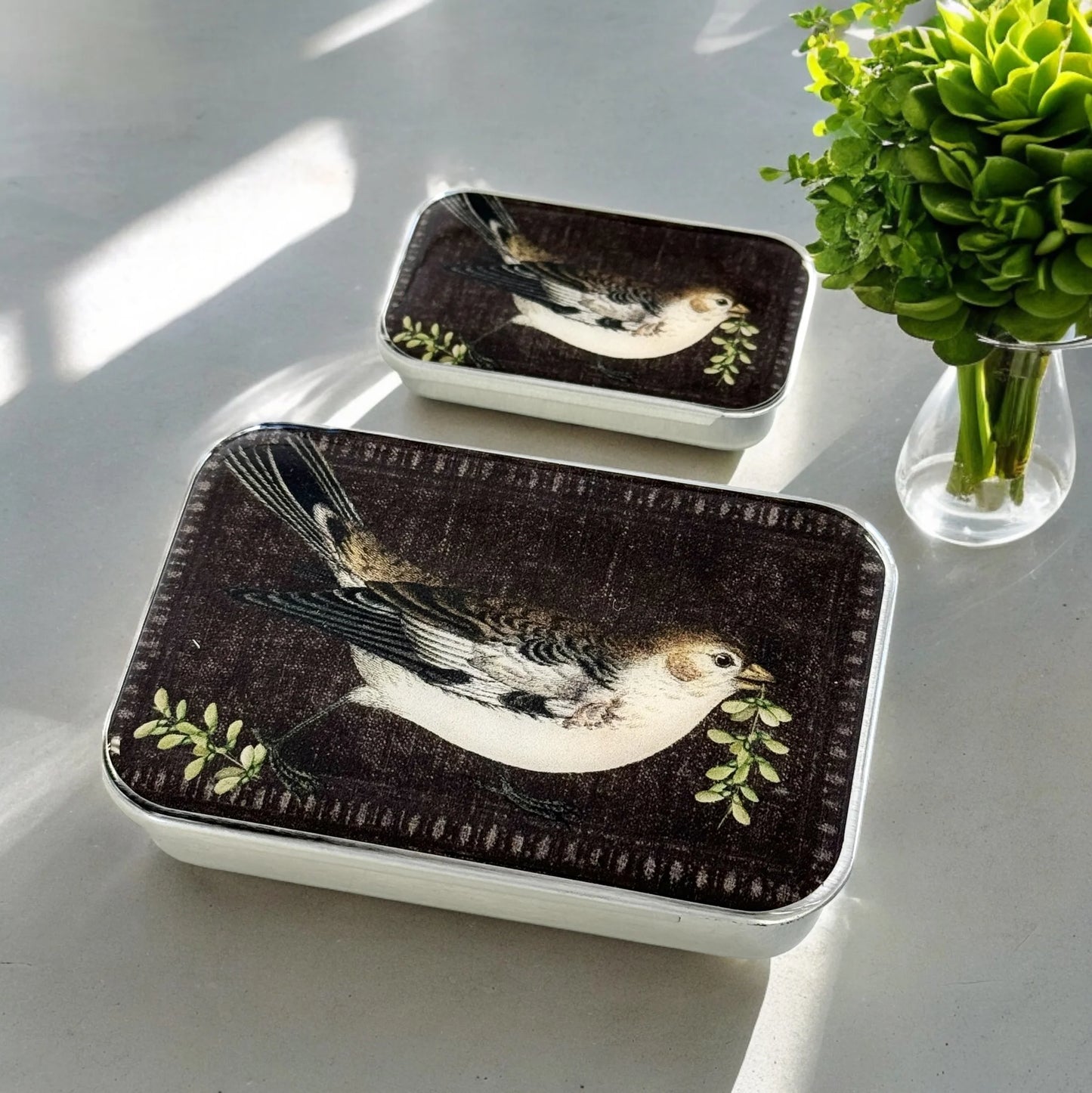 Birdsong Tin | Notions