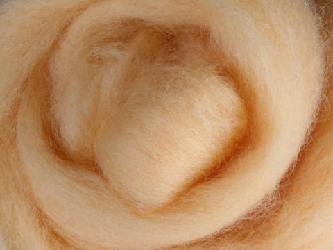Fiber Braid - Preorder Merino Top | 100 Grams