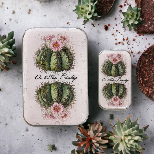 Cactus | Notions Tin