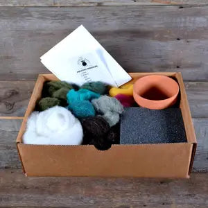 Succulent Needle Felting Kit
