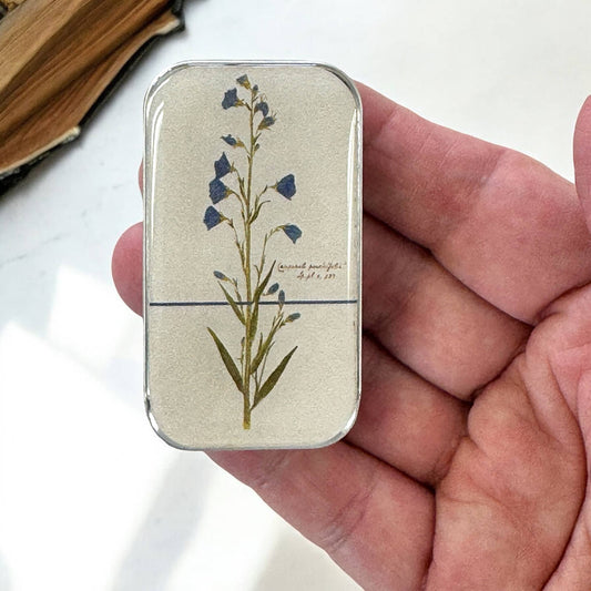 Bellflower Notions Tin | Small