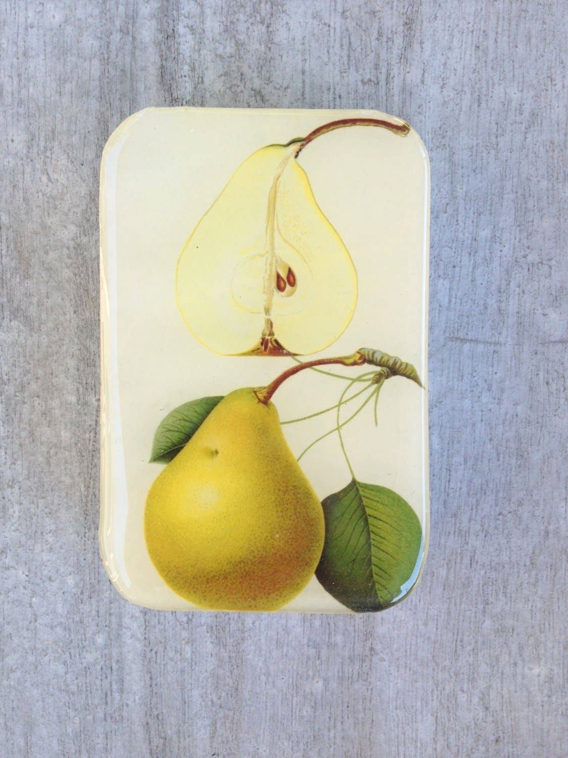 Botanical Pear | Notions Tin