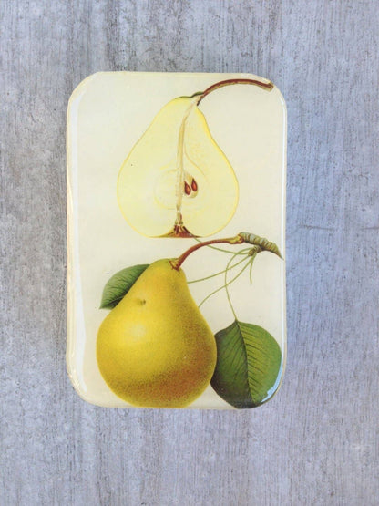 Botanical Pear | Notions Tin