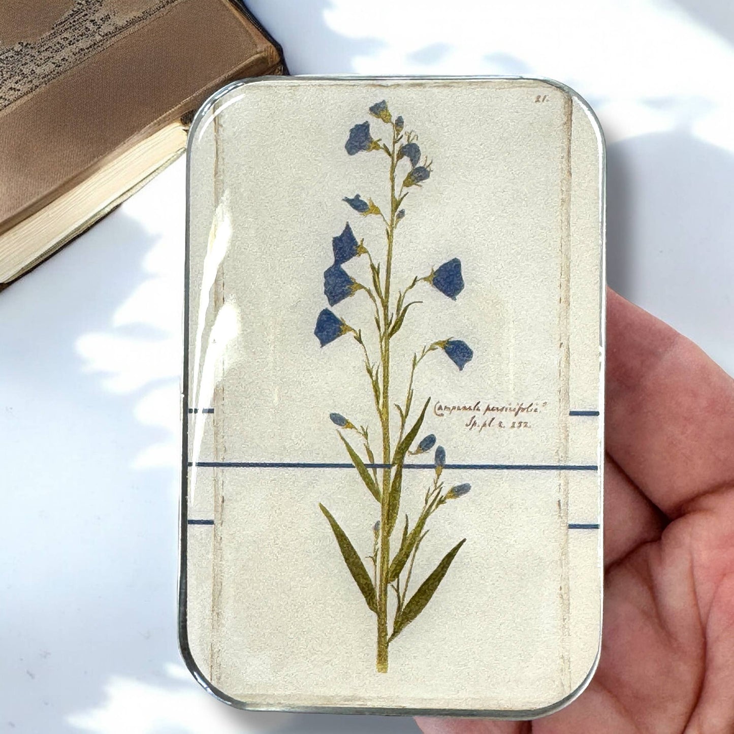 Bellflower Notions Tin | Small
