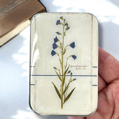Bellflower Notions Tin | Small