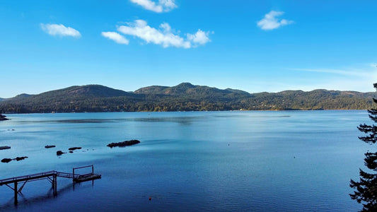 East Sooke Retreat -- Nov 21 - 23, 2025