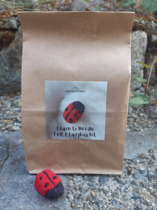 Learn to Needle Felt a Ladybug Kit