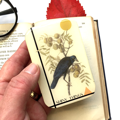 Crow Shiny Things Tin | Small