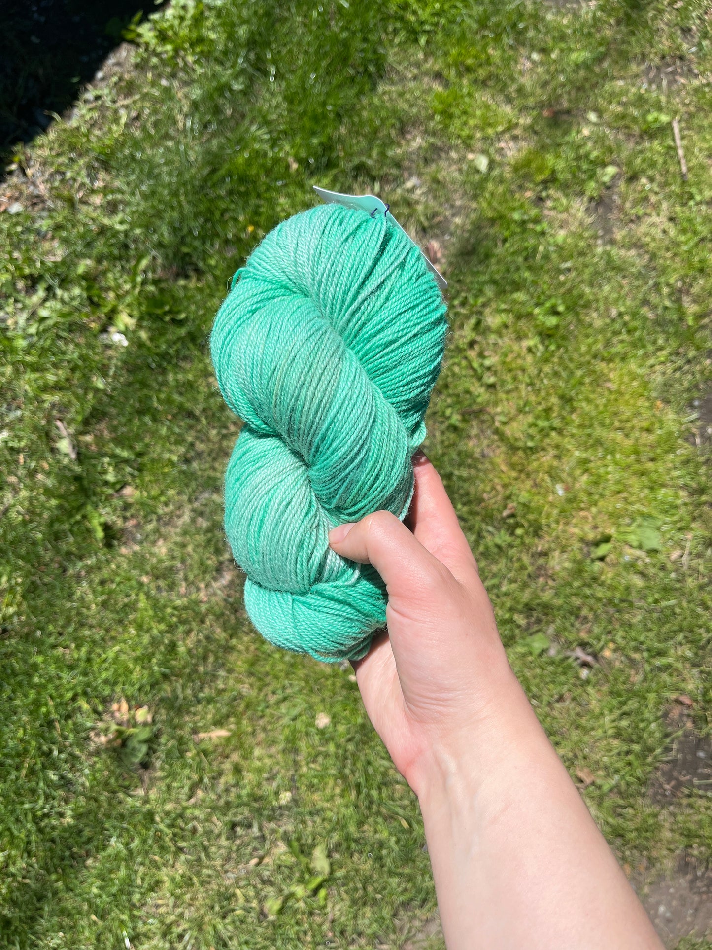 Sacrebleu | Fingering | BFL, Nylon