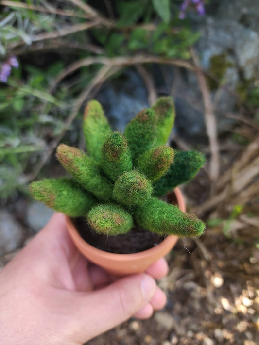 Felted Succulent | Decor, Fake Plant In Pot