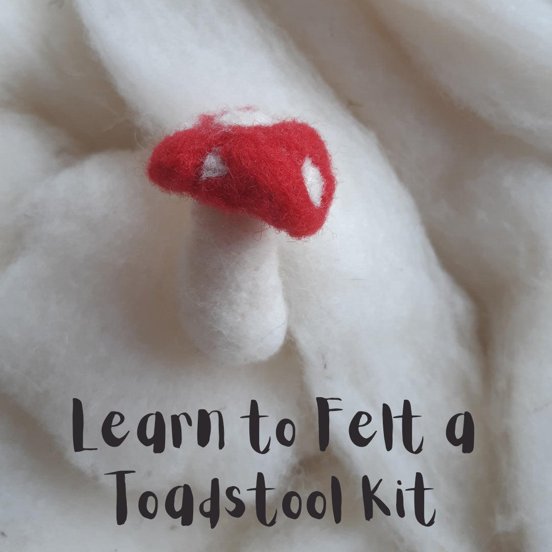 Learn To Needle Felt Toadstool Kit, DIY Craft Kit