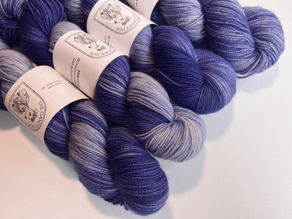 Dandy Sock | SW Merino/Nylon