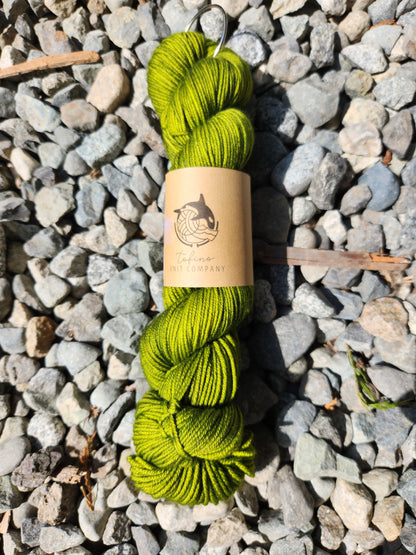 Octopus DK | DK | SW Merino