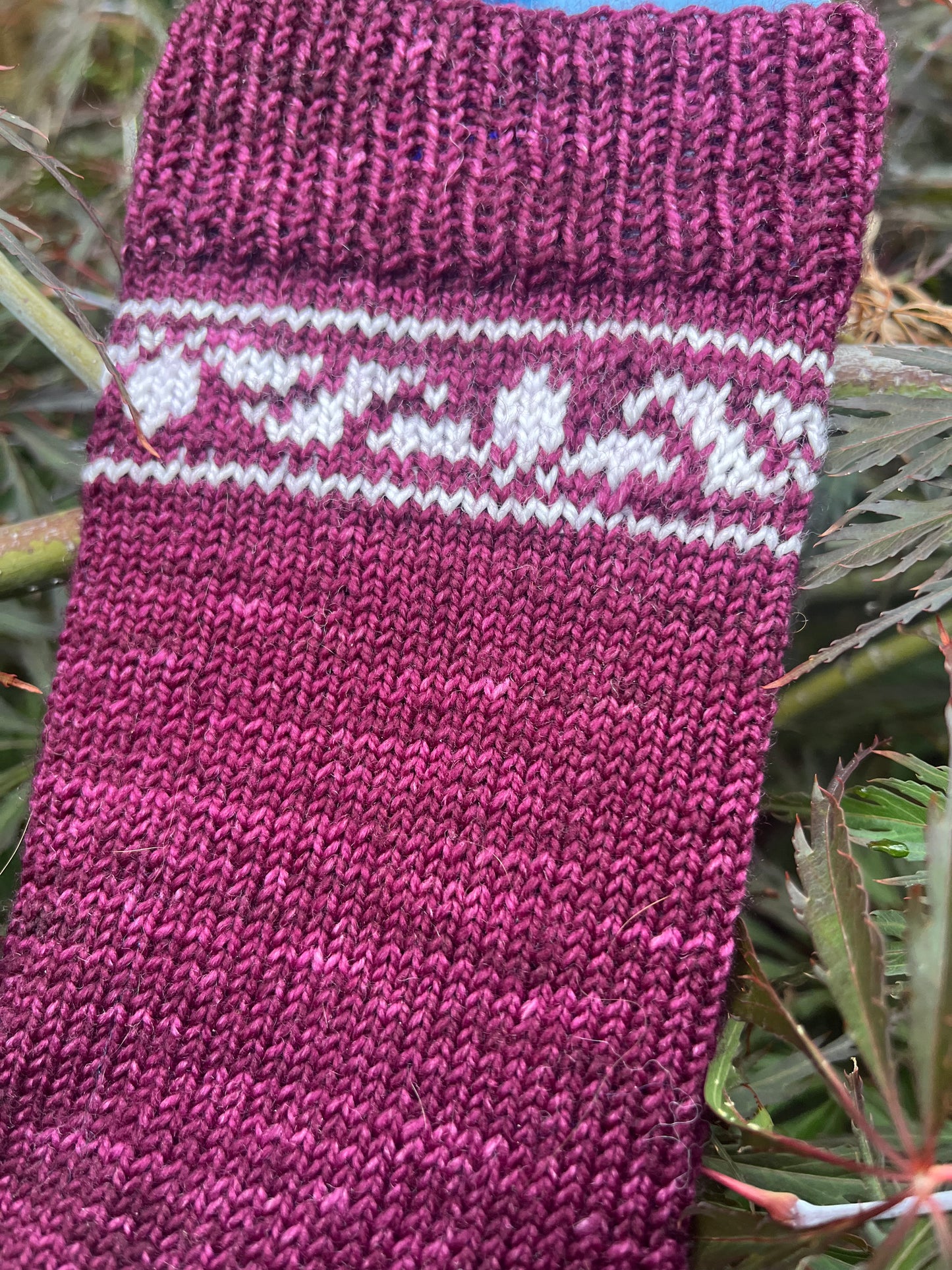 Bramble Bee Socks | Digital Pattern