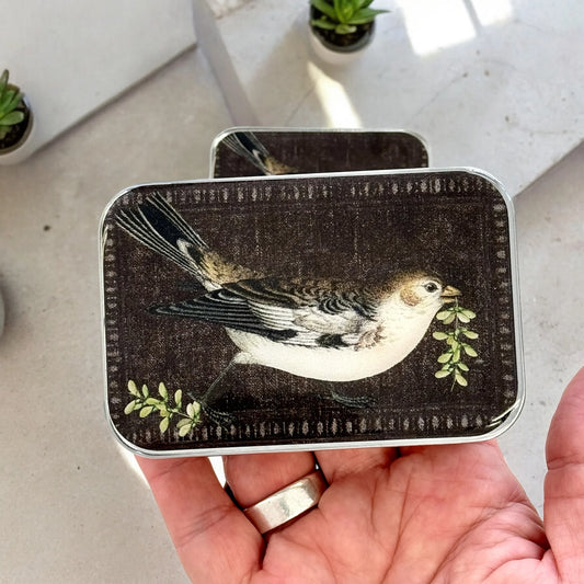 Birdsong Tin | Notions