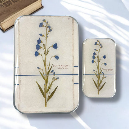 Bellflower Notions Tin | Small