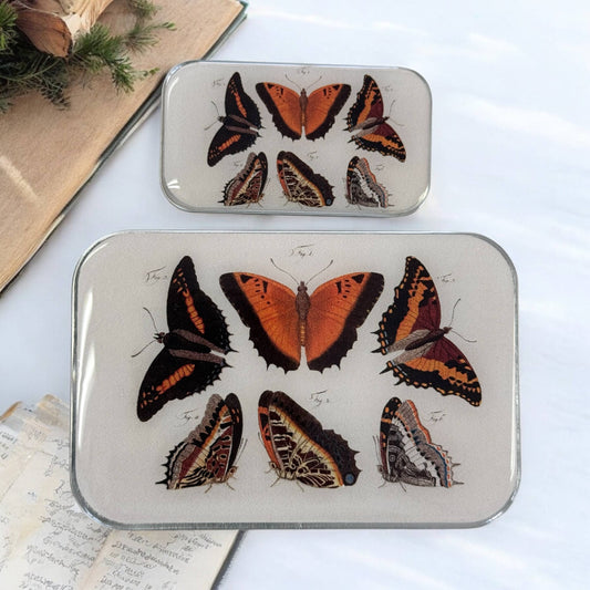 Orange Butterflies Notions Tin | Large