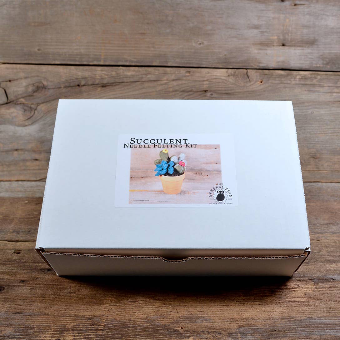 Succulent Needle Felting Kit