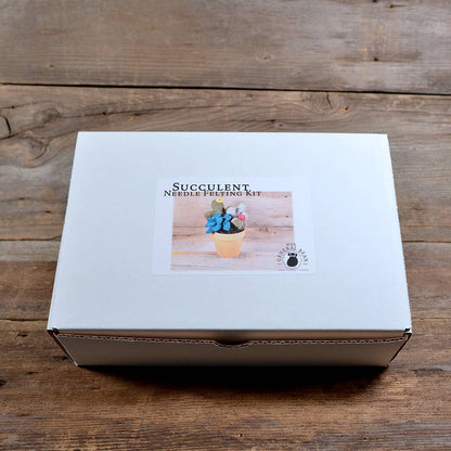 Succulent Needle Felting Kit