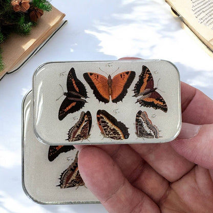 Orange Butterflies Notions Tin | Large