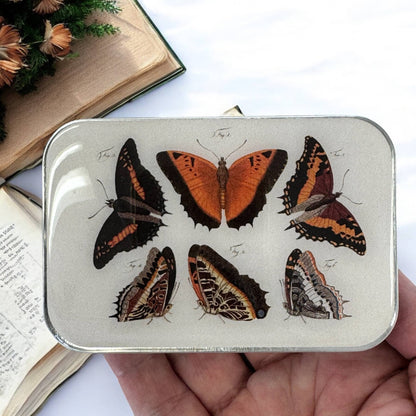 Orange Butterflies Notions Tin | Large