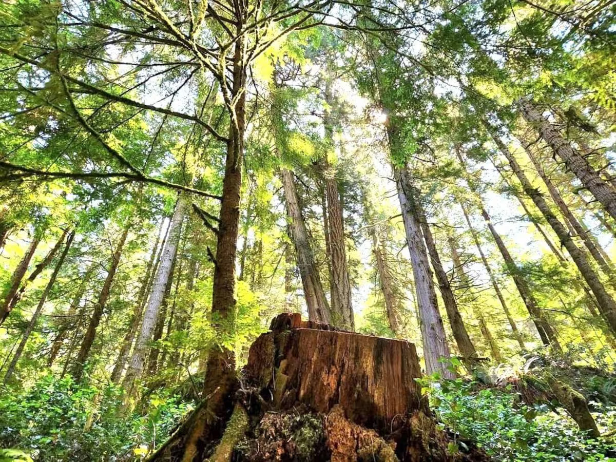 East Sooke Retreat -- Nov 21 - 23, 2025