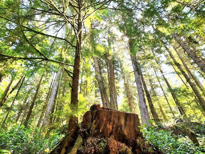 East Sooke Retreat -- Nov 21 - 23, 2025