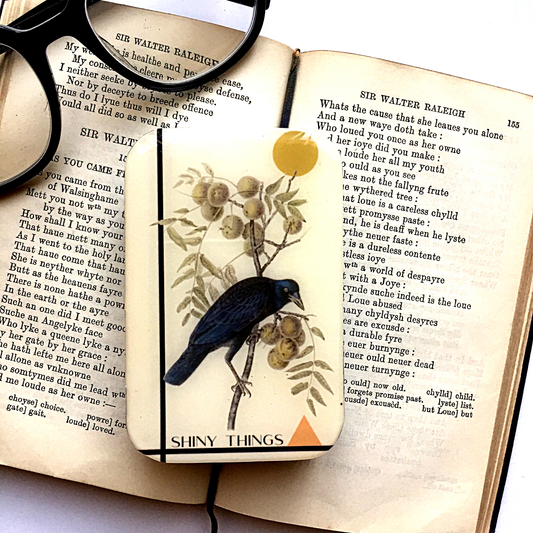 Crow Shiny Things Tin | Small