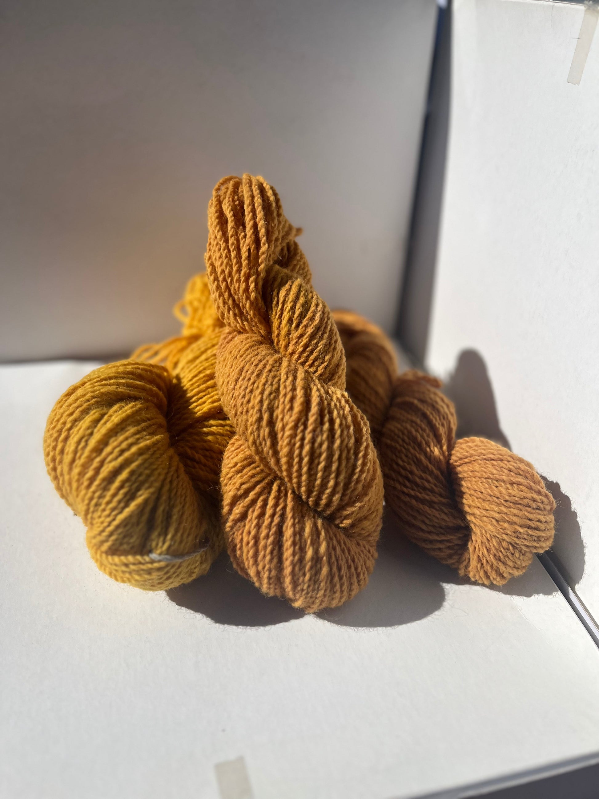 Yarn - Locally Grown Naturally Dyed 2 Ply | Worsted | 220 Yards / 120g