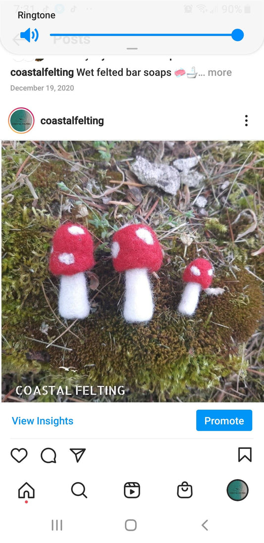 Needle Felted Mushroom Magnet Set