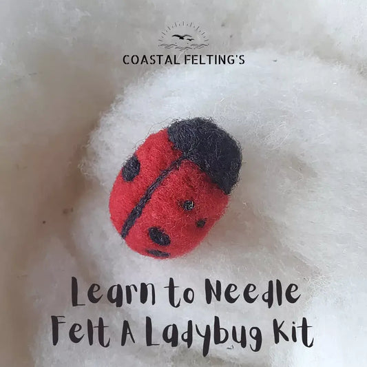 Learn to Needle Felt a Ladybug Kit