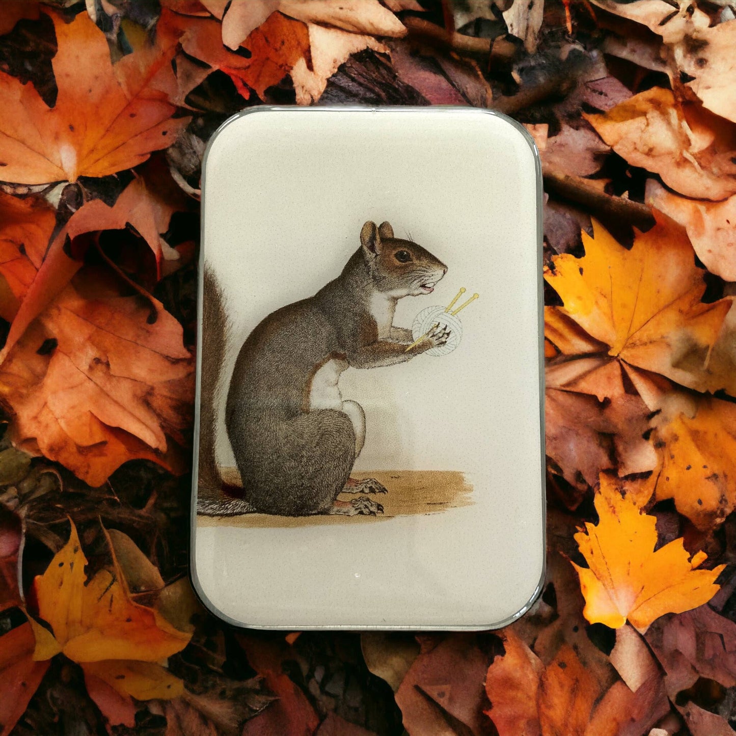 Yarn Squirrel Notions Tin | Large